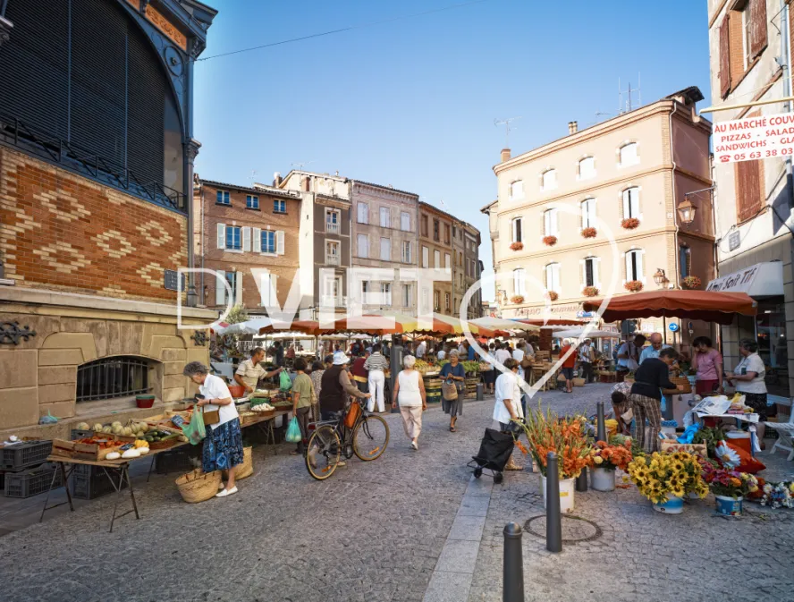 Photo TOULOUSE by VIET - MARCHE D' ALBI