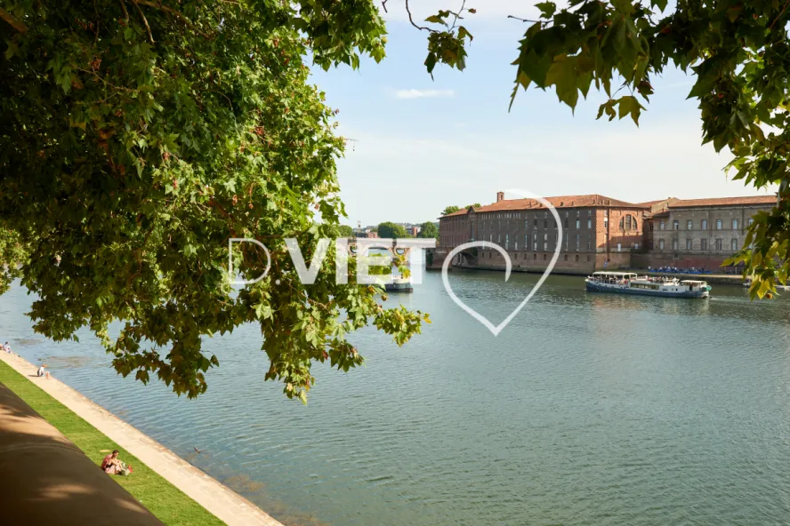 Photo TOULOUSE by VIET - au bord de la Garonne