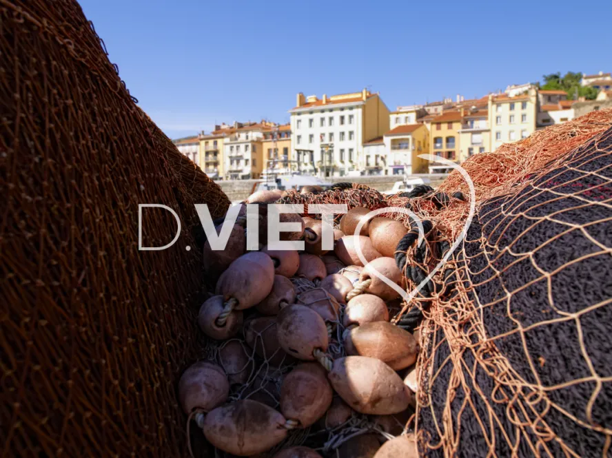 Photo TOULOUSE by VIET - Filets au port