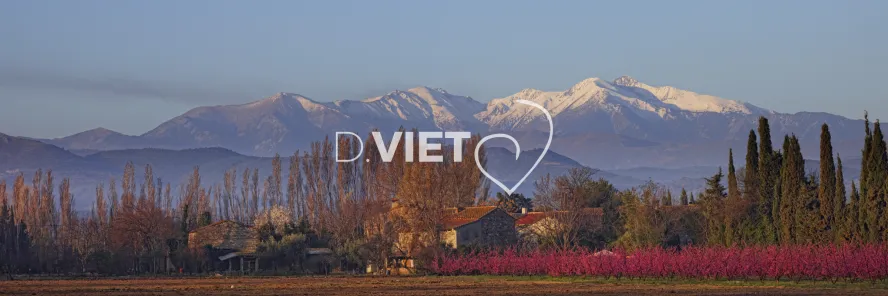 Photo TOULOUSE by VIET - Massif du Canigou et les arbres en fleurs