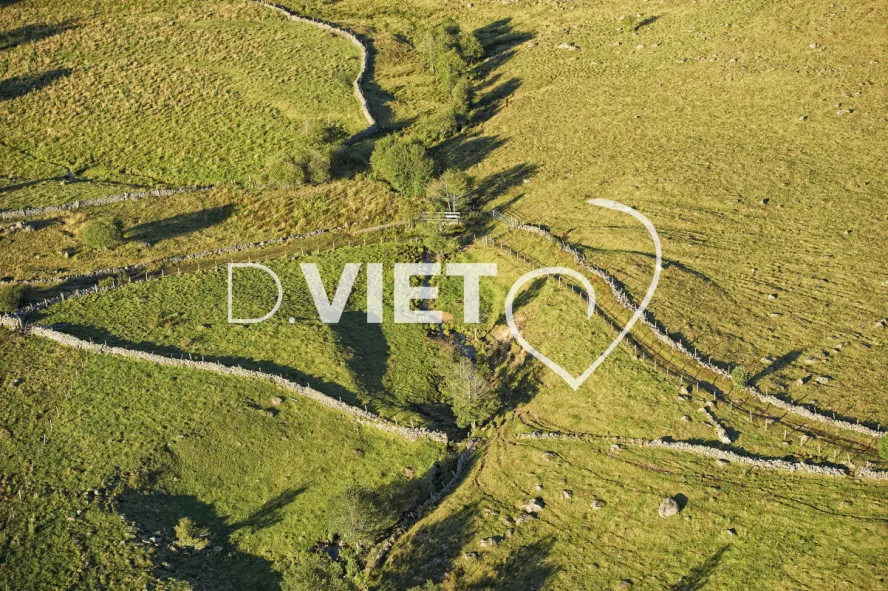 Photo TOULOUSE by VIET - Buron Aubrac