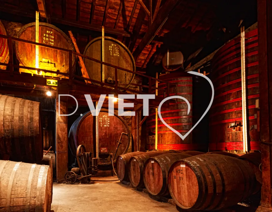 Photo TOULOUSE by VIET - Condom