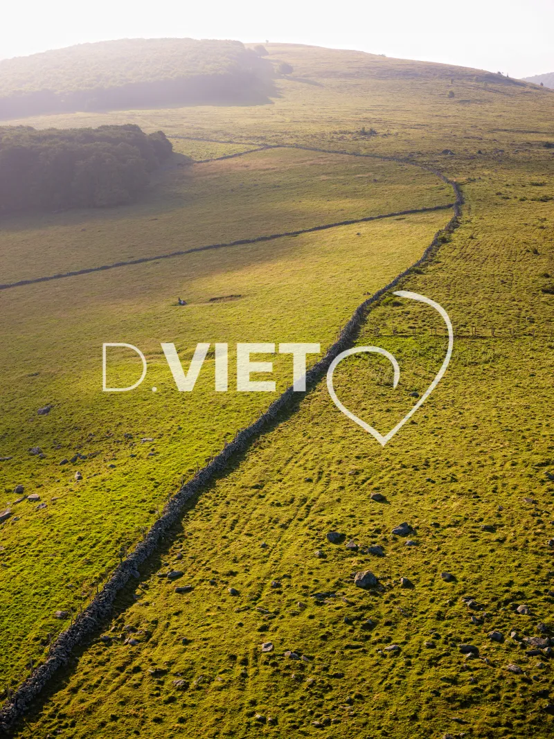 Photo TOULOUSE by VIET - VIET_005911