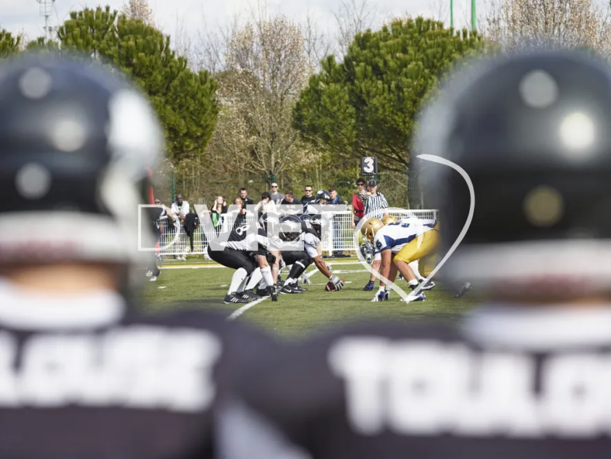 Photo TOULOUSE by VIET - VIET_007756