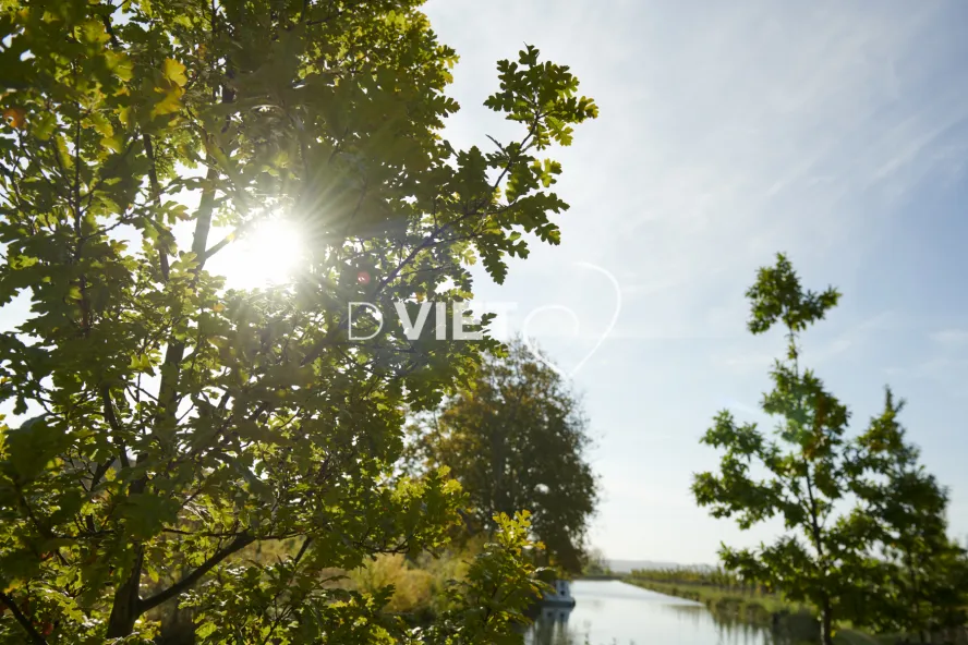 Photo TOULOUSE by VIET - REPRUDE