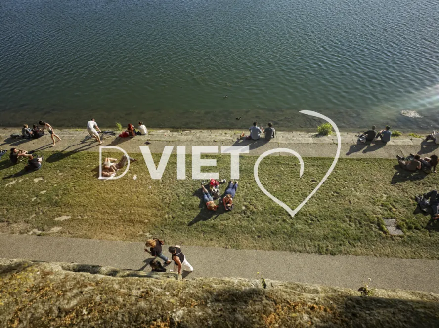 Photo TOULOUSE by VIET - Daurade