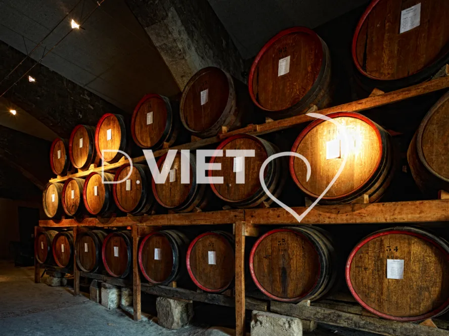 Photo TOULOUSE by VIET - Chateau de Cassaigne