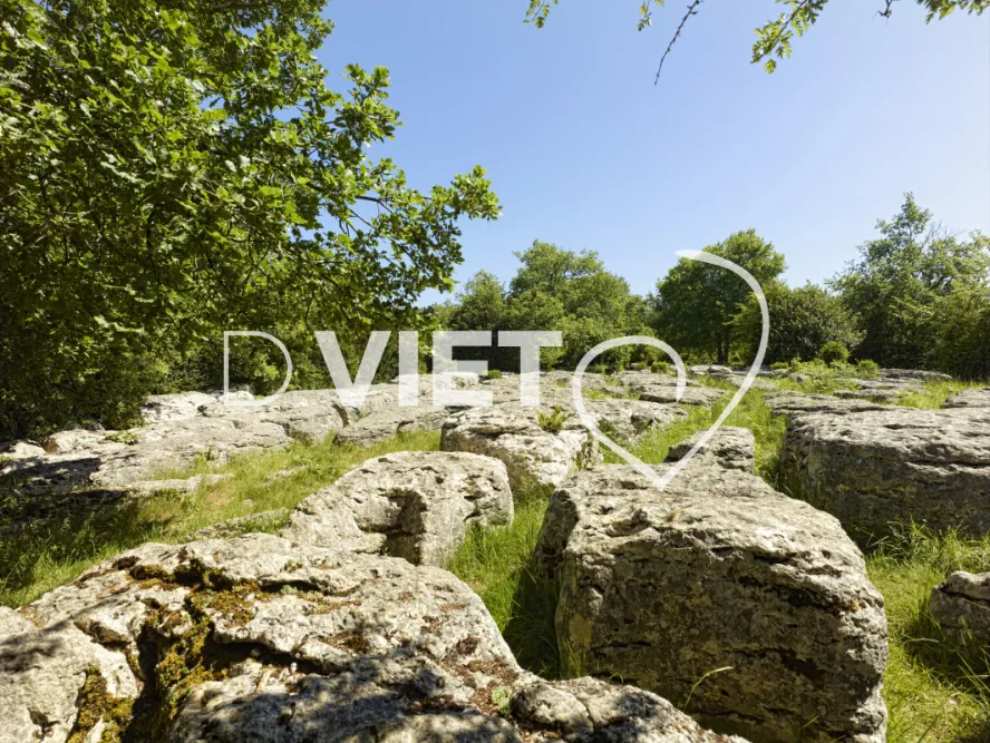 Photo TOULOUSE by VIET - labyrinthe