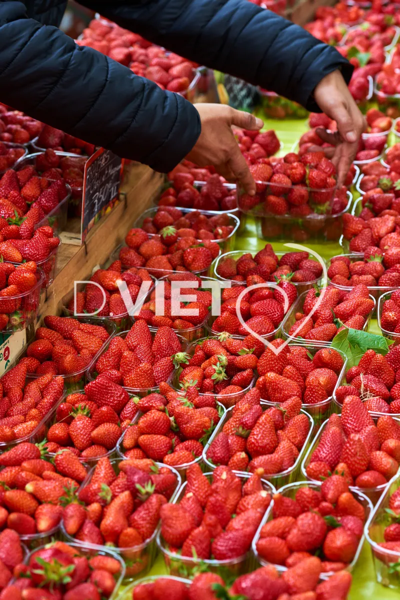Photo TOULOUSE by VIET - VIET_008904