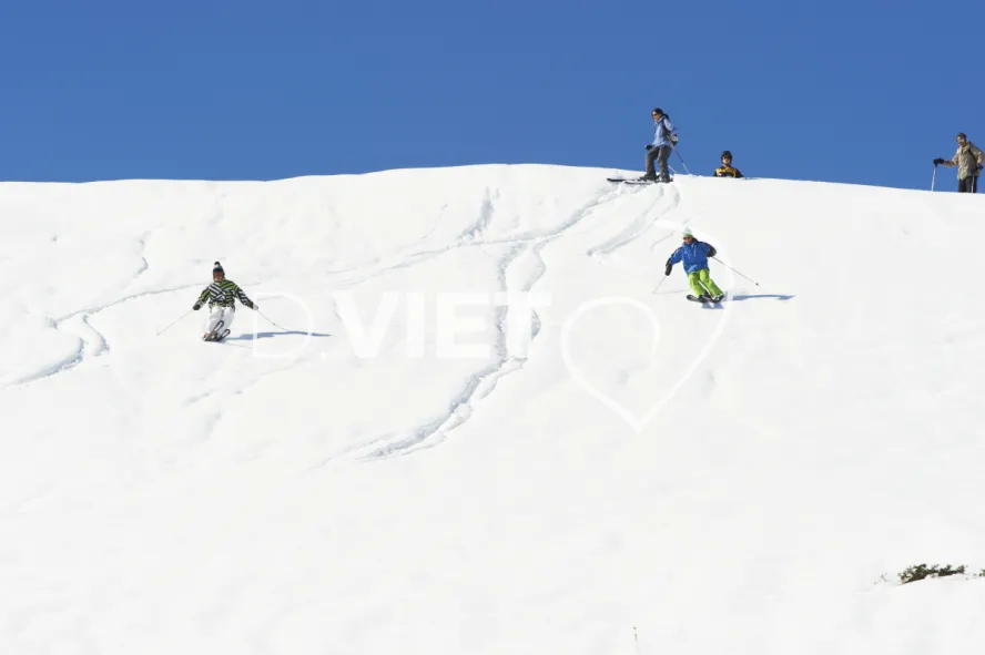 Photo TOULOUSE by VIET - VIET_004890