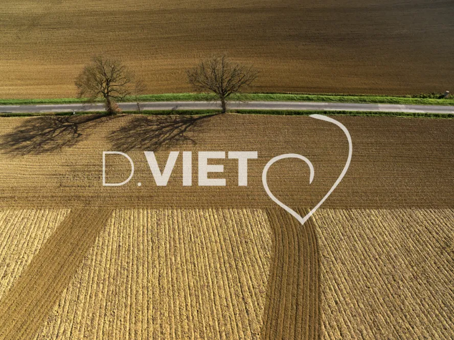 Photo TOULOUSE by VIET - TRACES