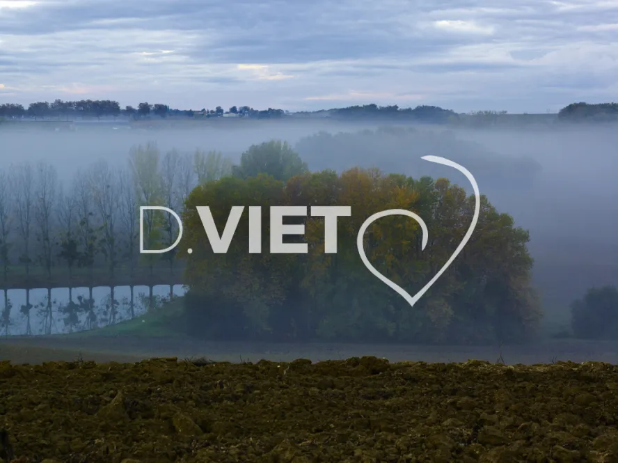 Photo TOULOUSE by VIET - BRUME