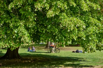 Photo TOULOUSE by VIET - Jardin des plantes