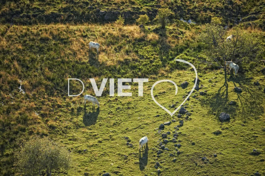 Photo TOULOUSE by VIET - Buron Aubrac