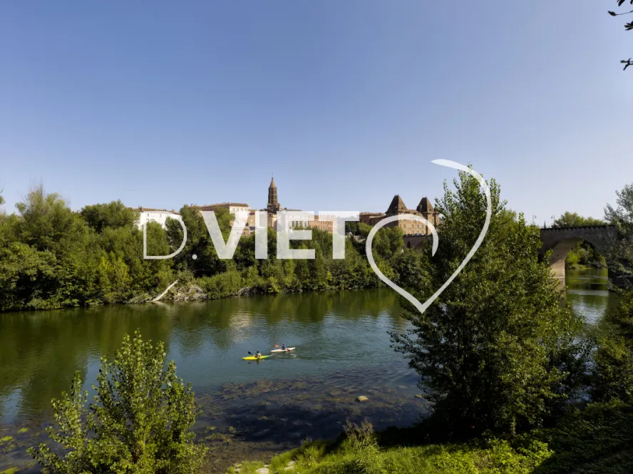 Photo TOULOUSE by VIET - VIET_007257