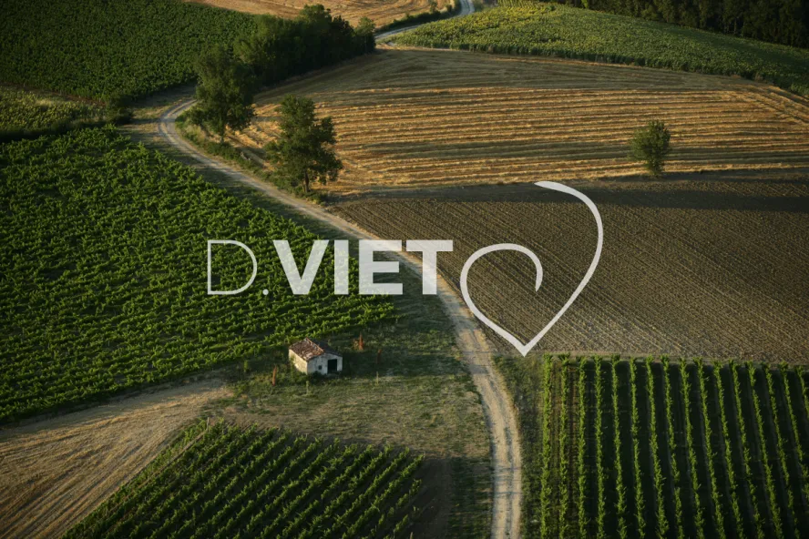 Photo TOULOUSE by VIET - 81ENTRE CORDES ET ALBI N44°00381 E001°59478 ©VIET 361.com