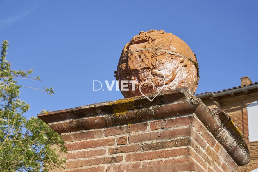 Photo TOULOUSE by VIET - Patrimoine