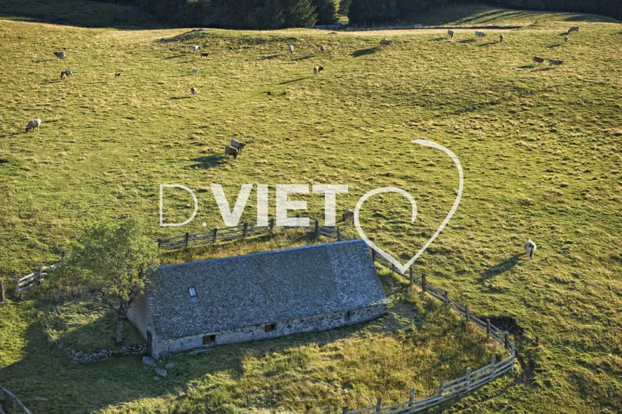 Photo TOULOUSE by VIET - Buron Aubrac