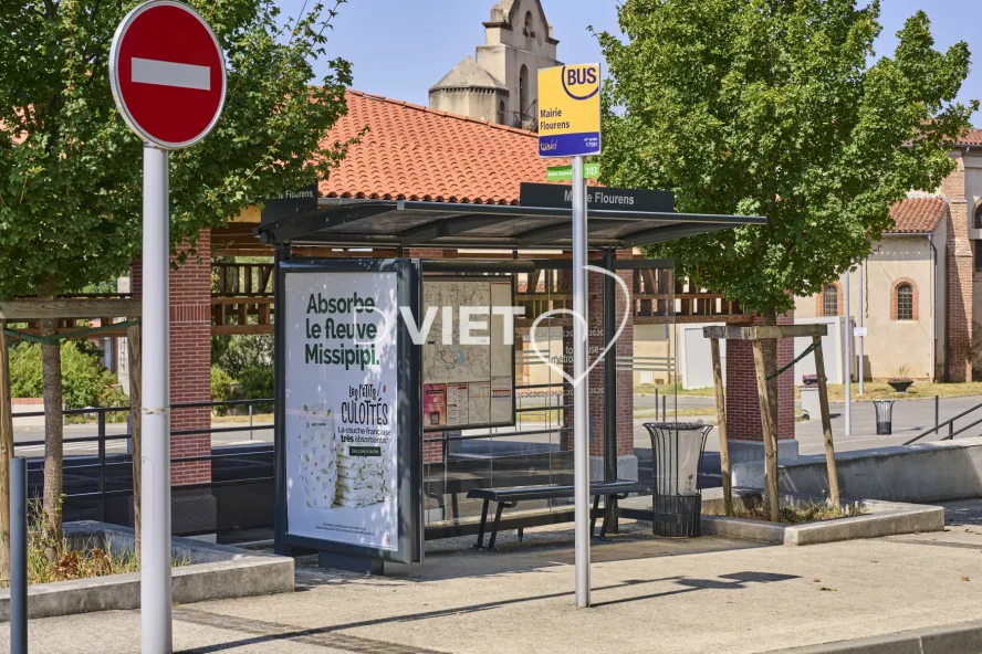 Photo TOULOUSE by VIET - FLOURENS