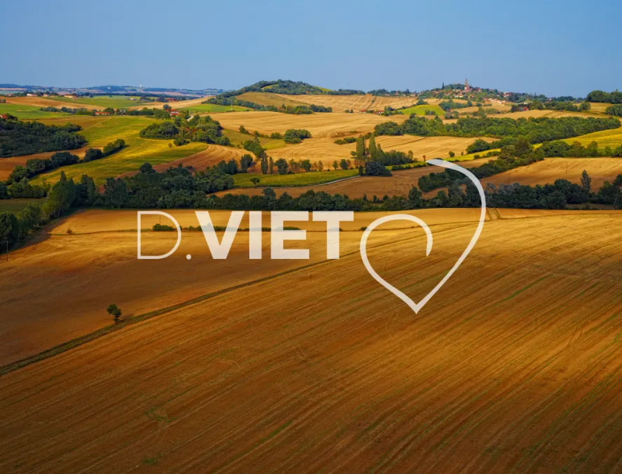 Photo TOULOUSE by VIET - Vallons du gers