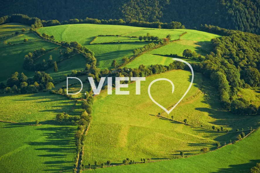 Photo TOULOUSE by VIET - VIET_005954