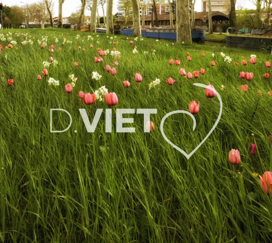 Photo TOULOUSE by VIET - Canal en fleurs
