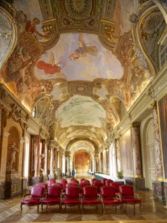 Photo TOULOUSE by VIET - Salle des Illustres