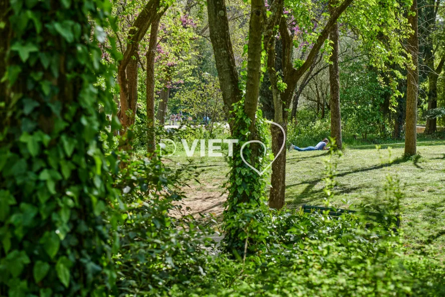 Photo TOULOUSE by VIET - Le parc