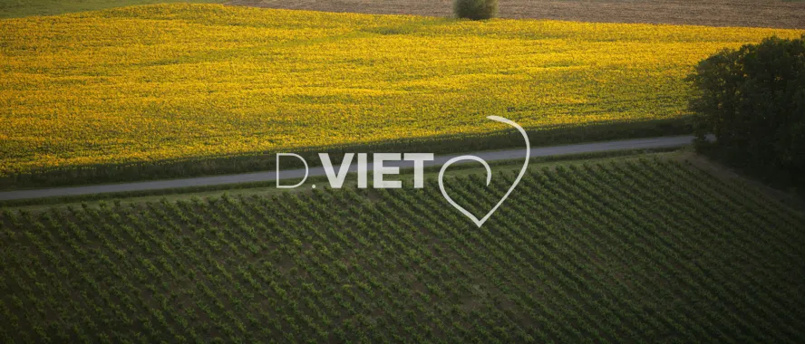 Photo TOULOUSE by VIET - 81 ENTRE CAHUZAC SUR VERE ET CASTELNAU N43°574066 E001°51290 ©VIET 361.com