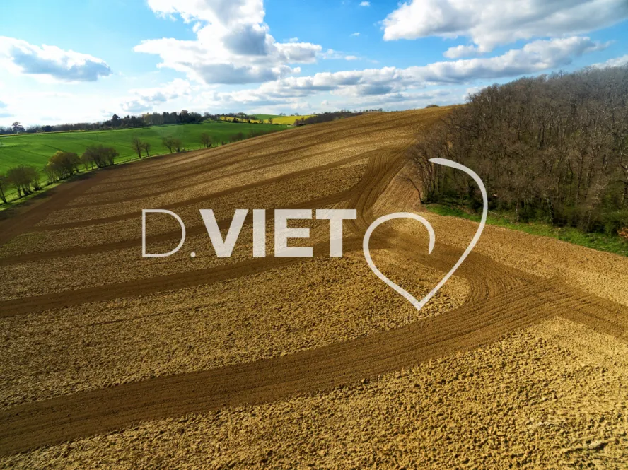 Photo TOULOUSE by VIET - TRACES