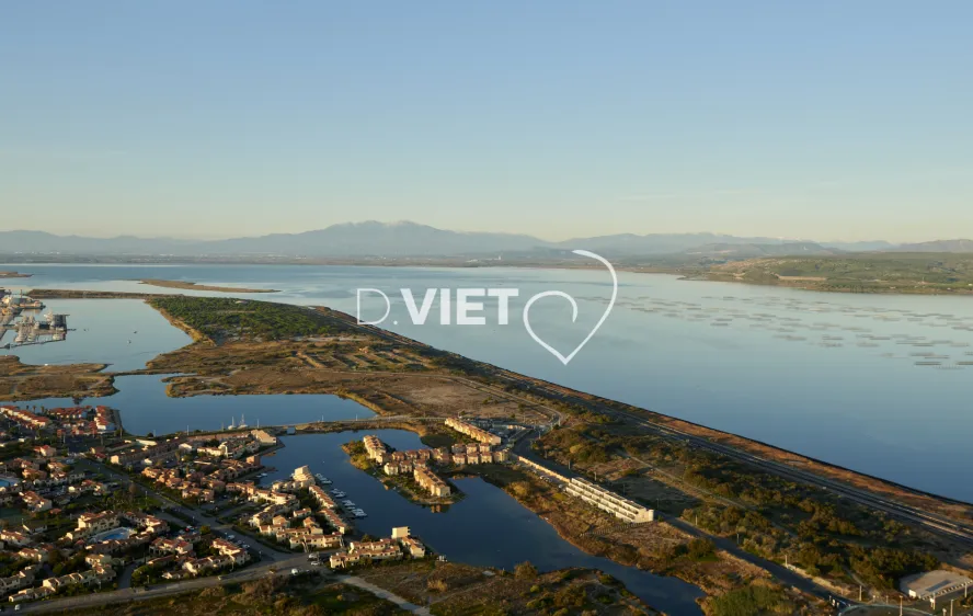 Photo TOULOUSE by VIET - VIET_011573