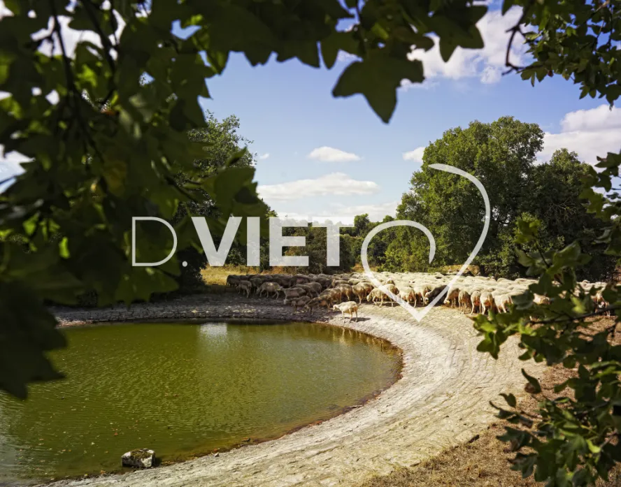 Photo TOULOUSE by VIET - VIET_003499