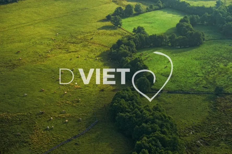 Photo TOULOUSE by VIET - Laguiole