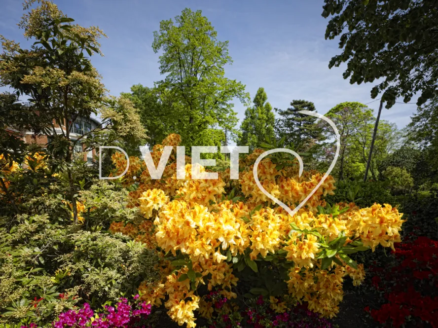 Photo TOULOUSE by VIET - Jardin des plantes