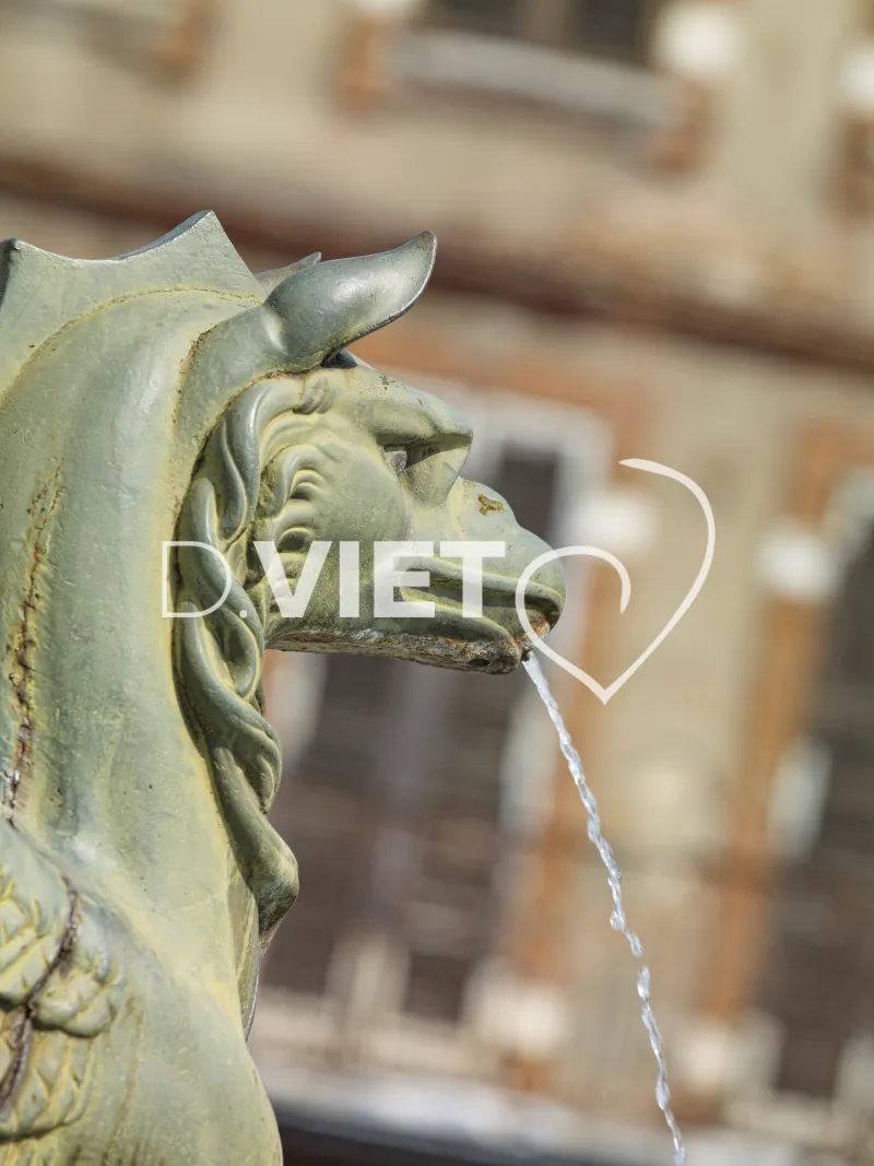 Photo TOULOUSE by VIET - La fontaine Dupuy