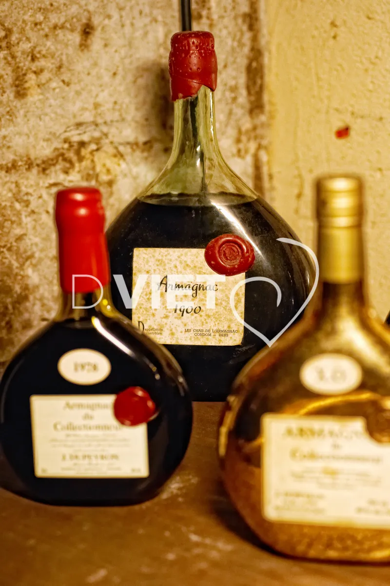 Photo TOULOUSE by VIET - Condom