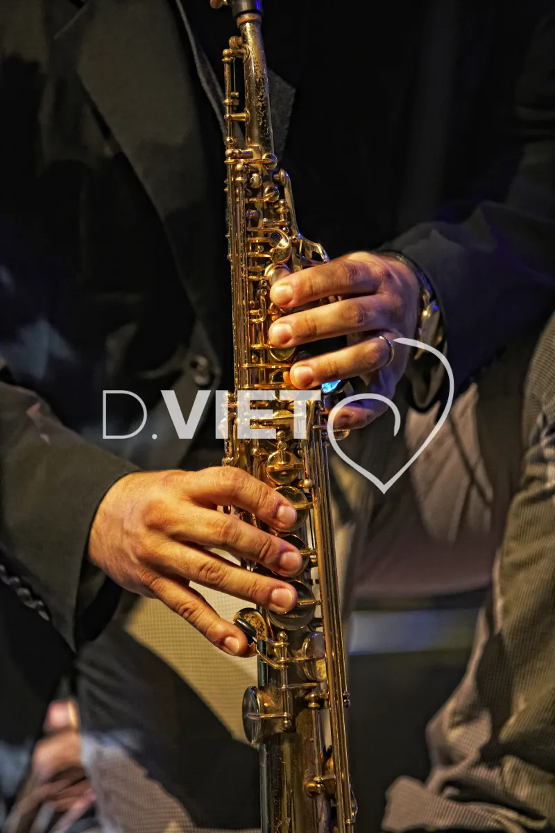 Photo TOULOUSE by VIET - Jazz in Marciac