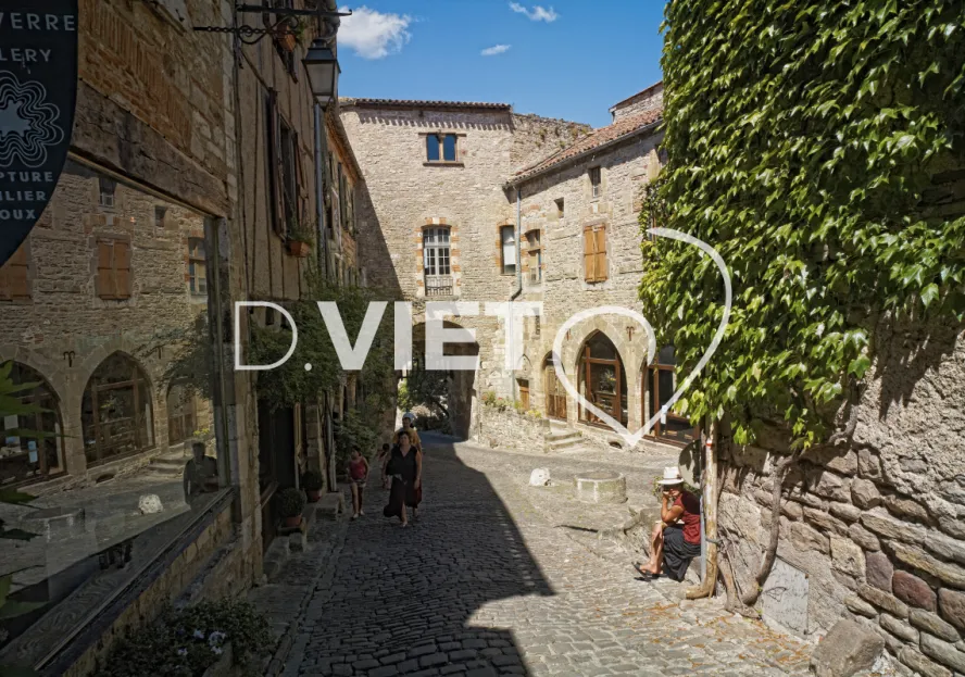 Photo TOULOUSE by VIET - VIET_003114