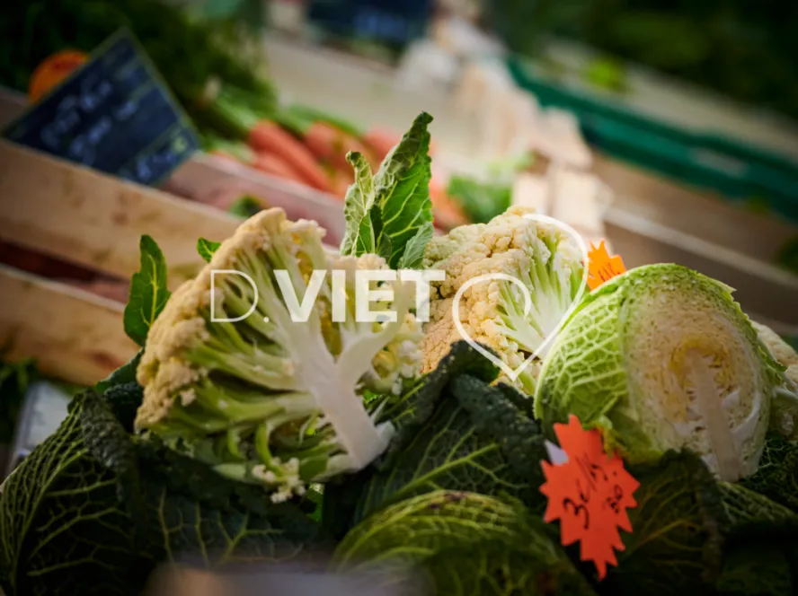 Photo TOULOUSE by VIET - MARCHE SAINT AUBIN