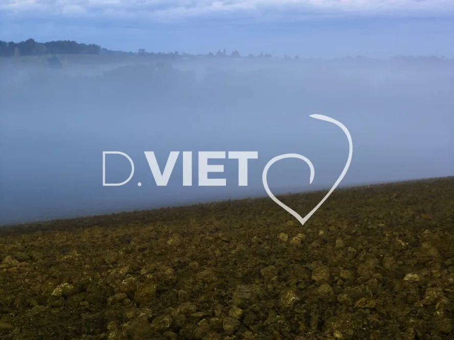 Photo TOULOUSE by VIET - BRUME