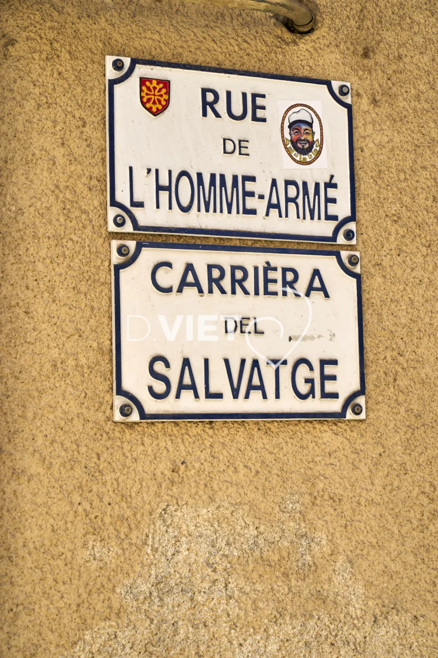 Photo TOULOUSE by VIET - LA RUE DE L HOMME ARME