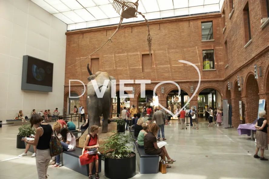 Photo TOULOUSE by VIET - Marathon des mots