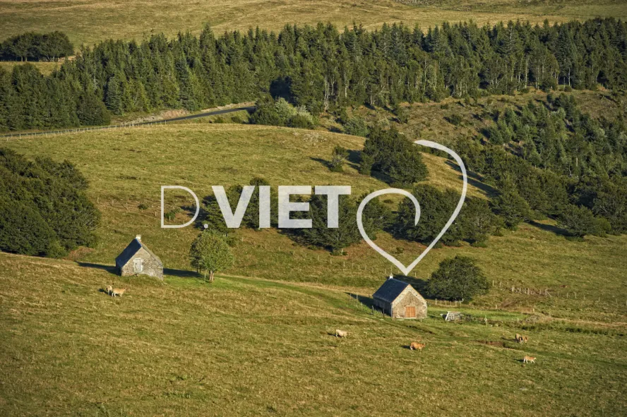 Photo TOULOUSE by VIET - Buron Aubrac