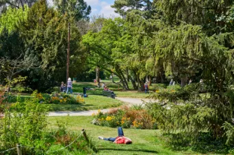 Photo TOULOUSE by VIET - Jardin des plantes