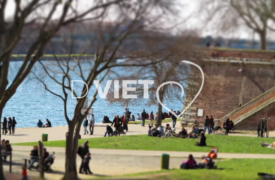 Photo TOULOUSE by VIET - Place de la Daurade