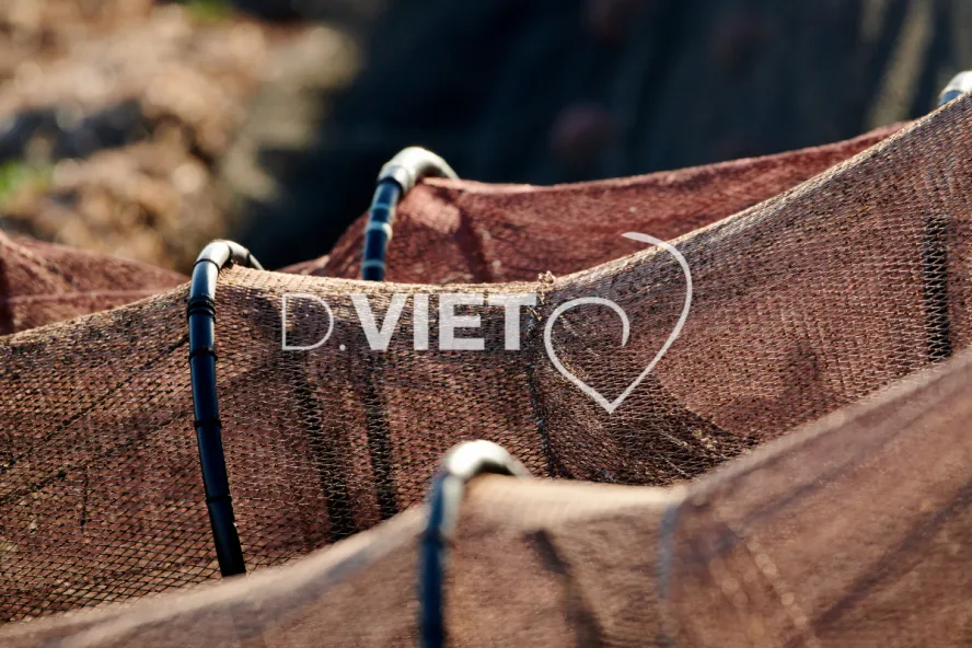 Photo TOULOUSE by VIET - Village de pecheurs