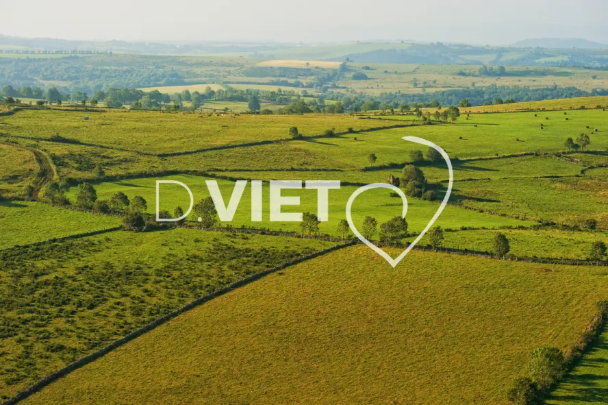 Photo TOULOUSE by VIET - VIET_005921