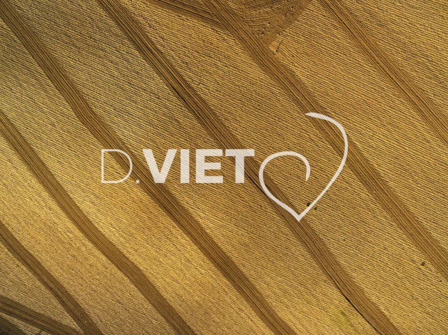 Photo TOULOUSE by VIET - TRACES