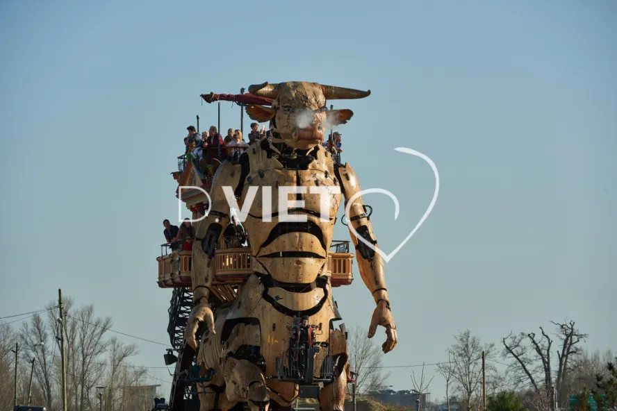 Photo TOULOUSE by VIET - LA HALLE DE LA MACHINE