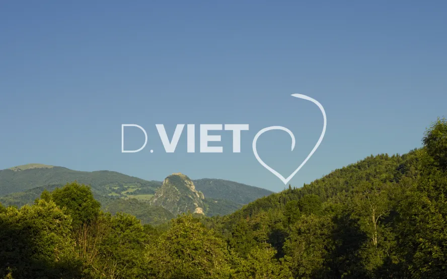 Photo TOULOUSE by VIET - Chateau de montsegur